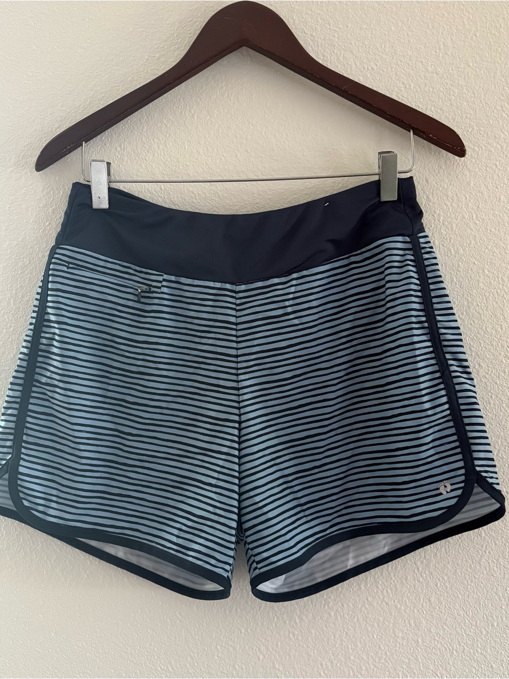 Hang Ten Swim Shorts
